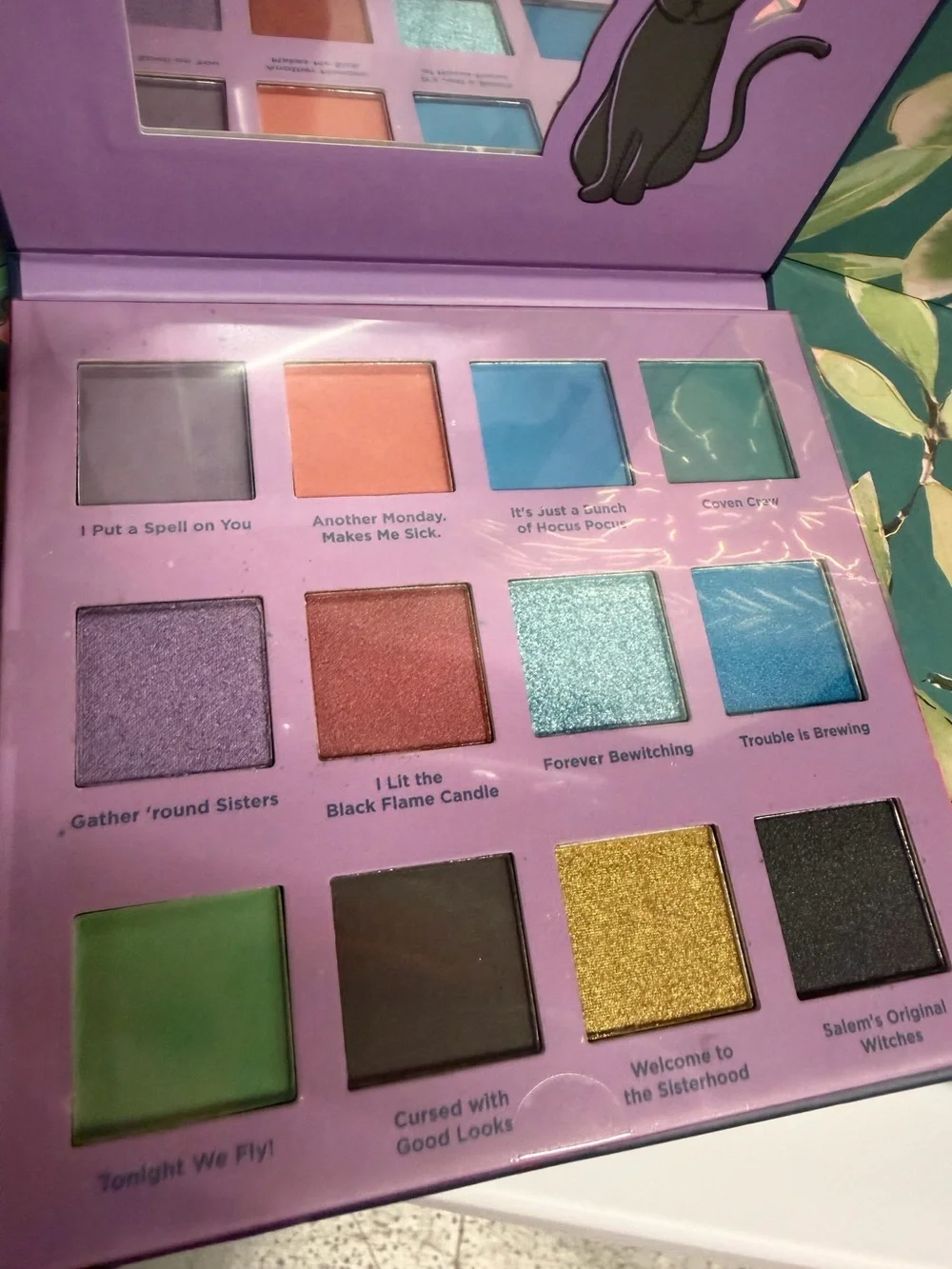 Taste Beauty brand new